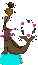 gif anime phoque