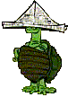 image gif tortue avec chapeau