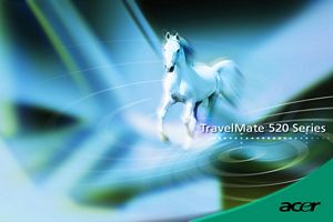 Ecran de fond avec cheval blanc
