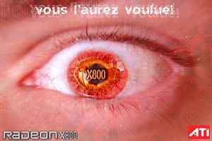 Oeil humain avec iris