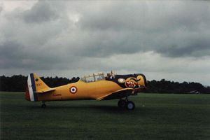 le petit plane avec ciel gris