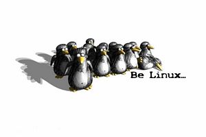 Des petits pingouins