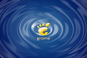 Gnome