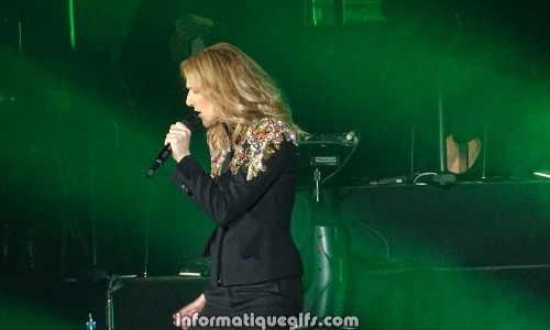 chanteuse celine dion en concert