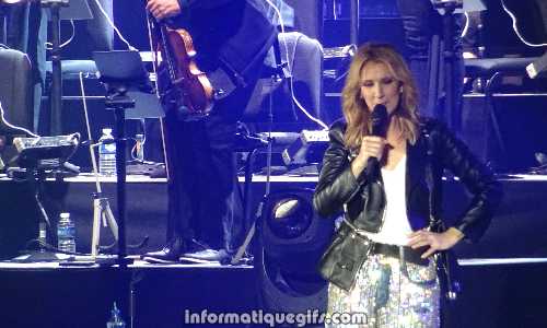 Photo Celine Dion concert