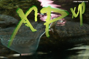 Logiciel XP avec ecriture en vert