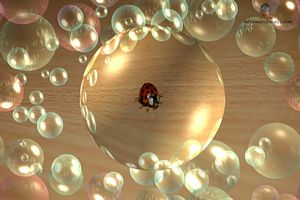 la petite coccinelle dans la sphere