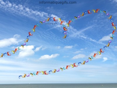 le ciel de la plage avec un coeur de poissons