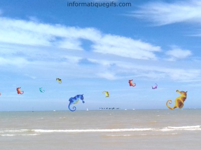 image ciel bleu avec des animaux de mer