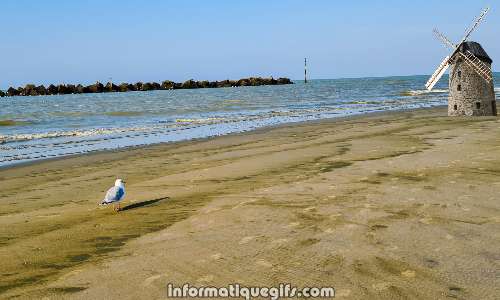 la mer et le petit moulin