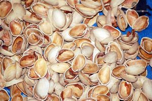 pistache en coquille