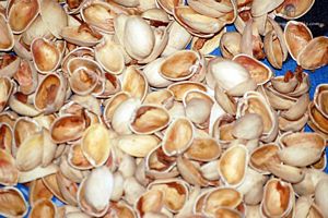 Image aperitif coquille