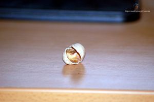 Sur une table vide