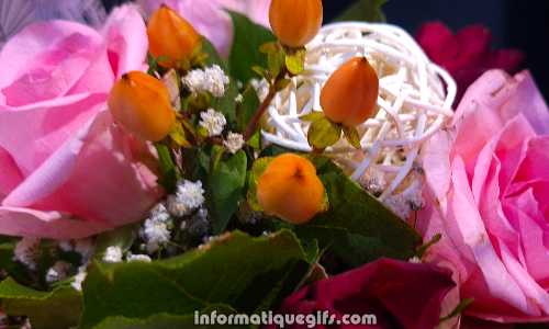 image bouquet de roses
