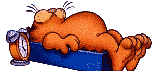 Garfield qui dort il est raide mort de fatigue