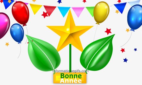 bonne annee bonne sante