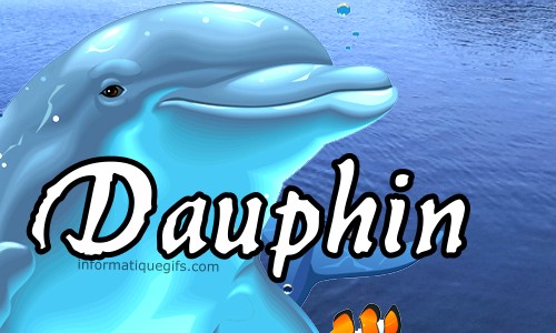 photo dauphin avec mer