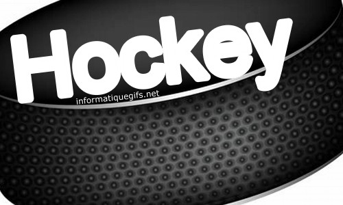 photo hockey palet