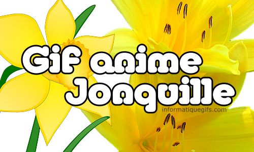 gif anime jonquille fleur