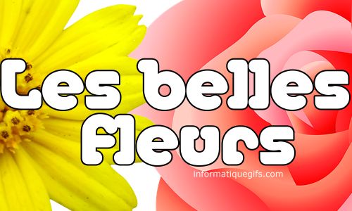 les belles fleurs