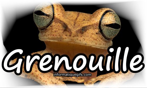 photo grenouille du jardin