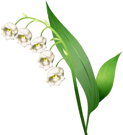 Muguet