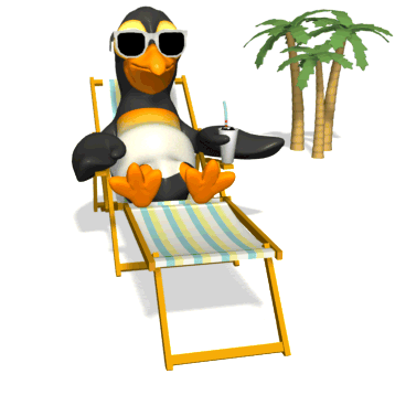 Image pinguin en vacance