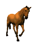 Image chevaux