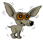 Image result for chien tremblement gif