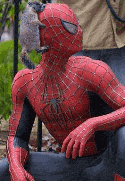 Gif Image Gif Anime Gifs