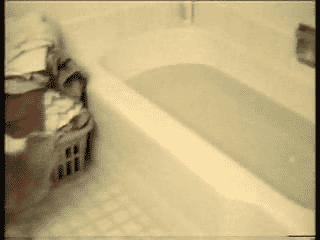 Chat Et Eau De La Baignoire