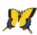 image papillon jaune