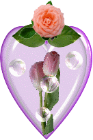 Image gif tulipe rose