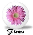 fleur