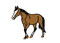 Gif cheval qui galop