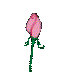 Une jolie fleur