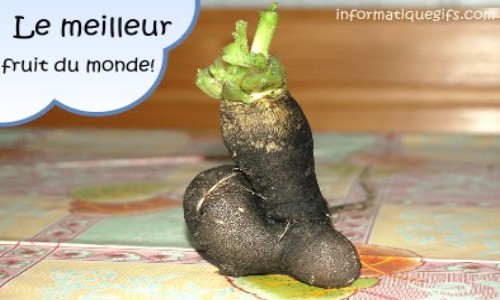 photo humour le meilleur fruit du monde