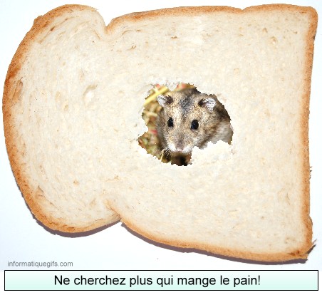 image tartine et petite souris