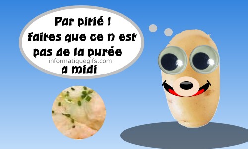 pomme de terre et puree