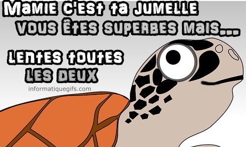 La tortue de grand mere