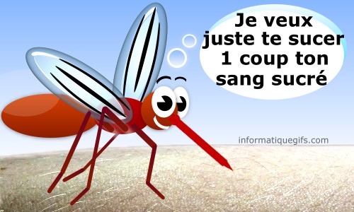 Humour moustique qui pique