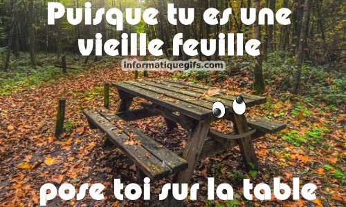 Un banc dans la foret avec des feuilles