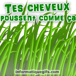 Herbe verte qui pousse