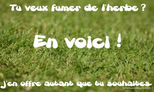 Fumer de l'herbe