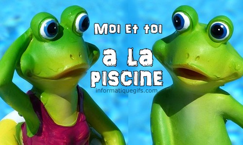 Deux grenouilles a la piscine