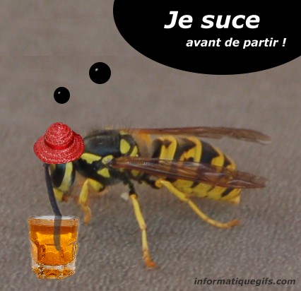 Mouche bizarre