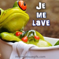 grenouille dans une baignoire