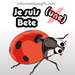 Image de coccinelle bete