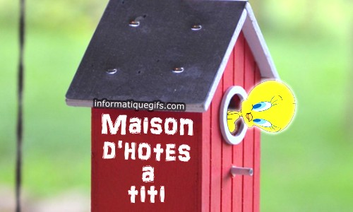 Maison hotes de titi