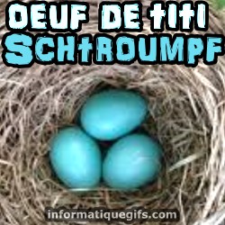 oeuf oiseau dans son nid
